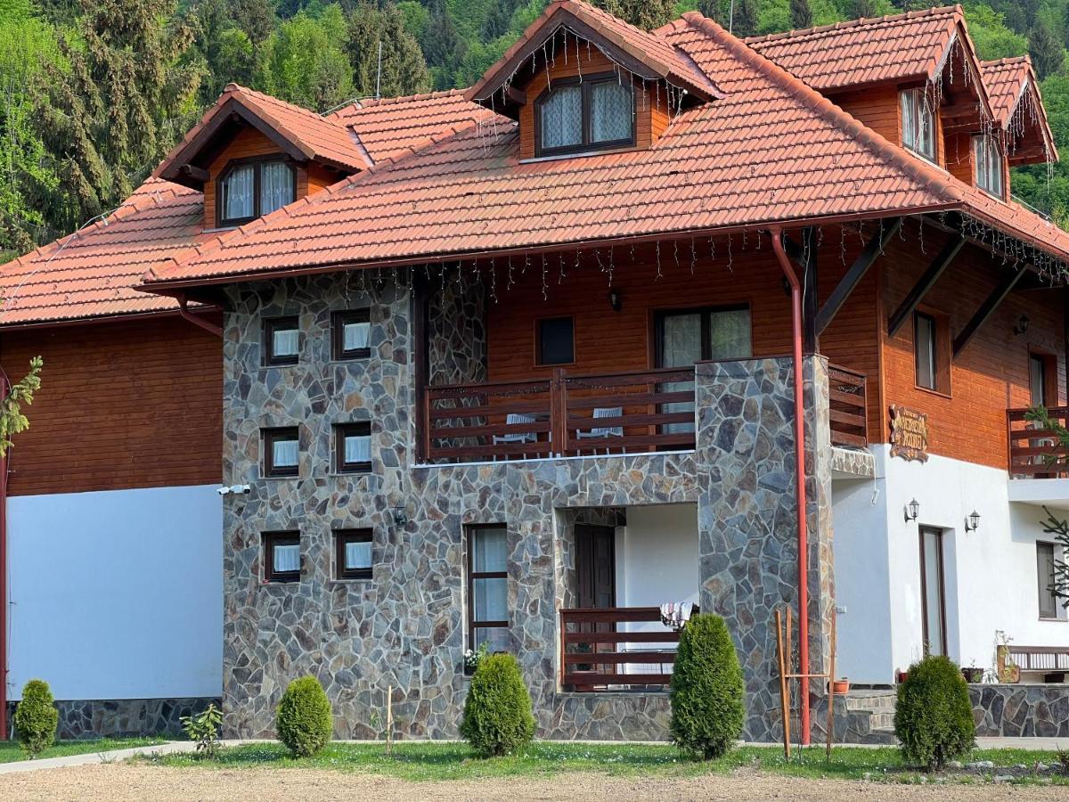 Pensiunea Pietrosul Rodnei Moisei Exterior photo
