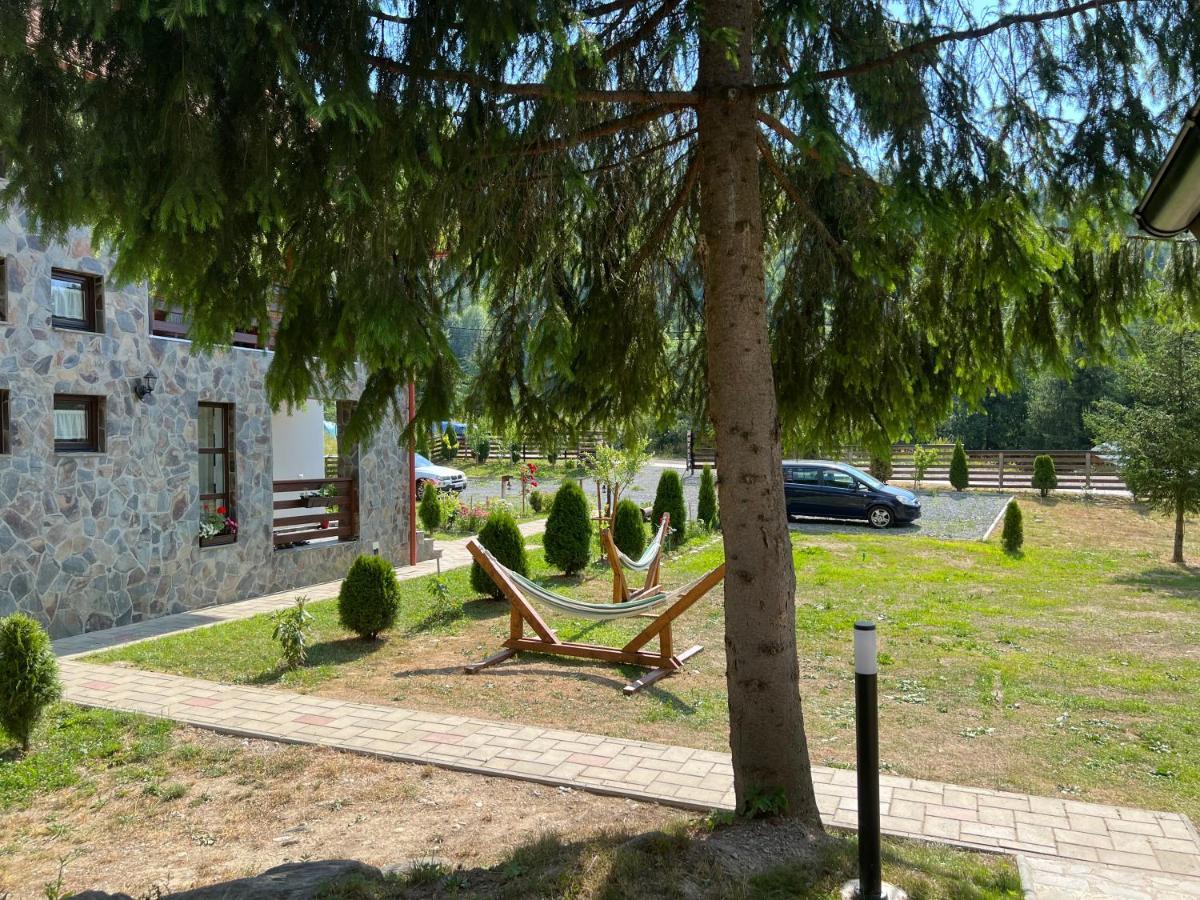 Pensiunea Pietrosul Rodnei Moisei Exterior photo