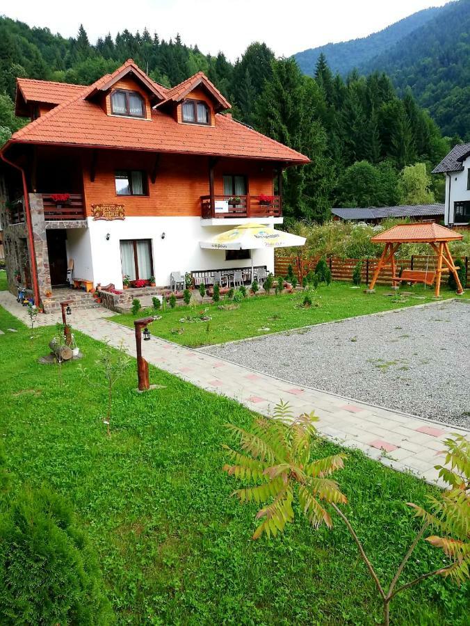 Pensiunea Pietrosul Rodnei Moisei Exterior photo